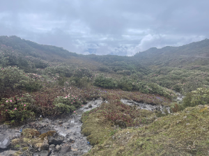 Eastern Himalayas 印度控制的南藏-gallery-