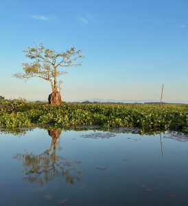 Yunnan Province 云南省-gallery-