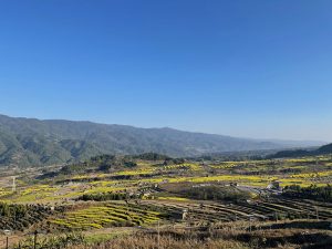 Yunnan Province 云南省-gallery-