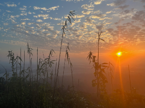 The Himalayas, 喜马拉雅山-gallery-