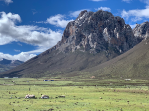 Qinghai 青海省-gallery-