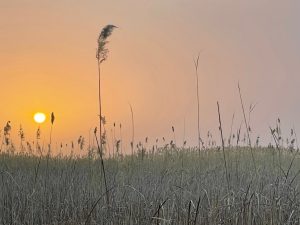 Kyrgyzstan 吉尔吉斯斯坦-gallery-