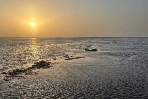 Gujarat Coastline-gallery-